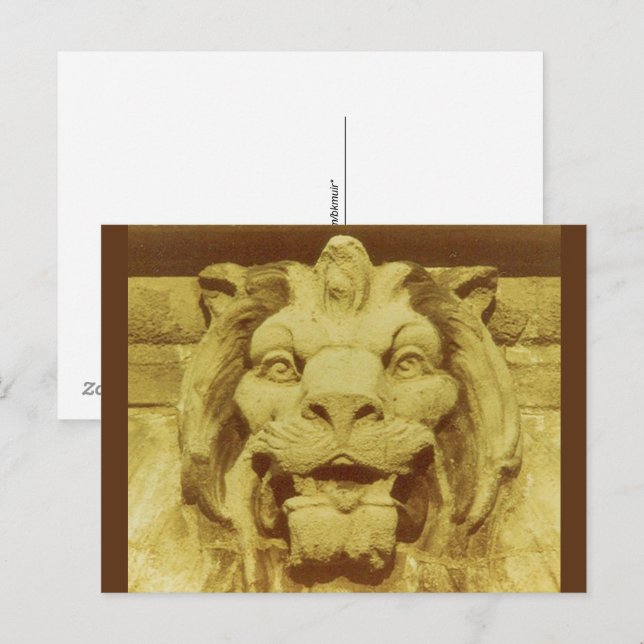 Postkarte - Löwen Kopf (Vorne/Hinten)