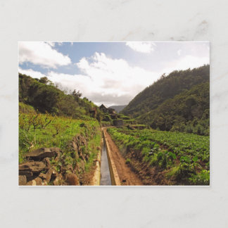 Postkarte Madeira