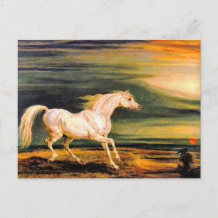 Postkarte: Marengo von Napoleon Postkarte
