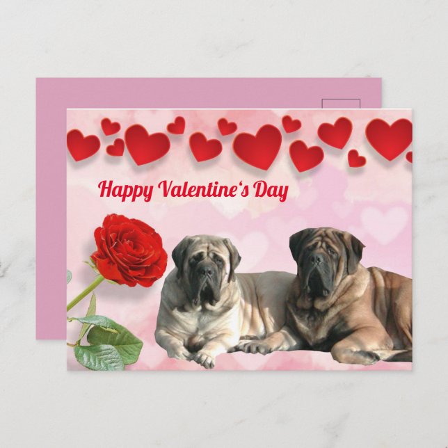 Postkarte Mastiff Valentine‘s Day (Vorne/Hinten)