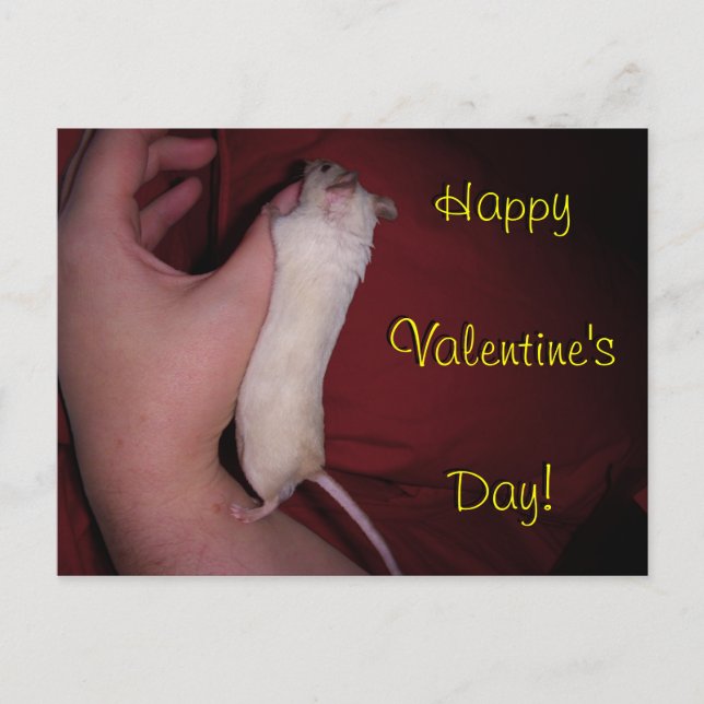 Postkarte: Mäuseumarmungs-Valentinsgruß Feiertagspostkarte (Vorderseite)