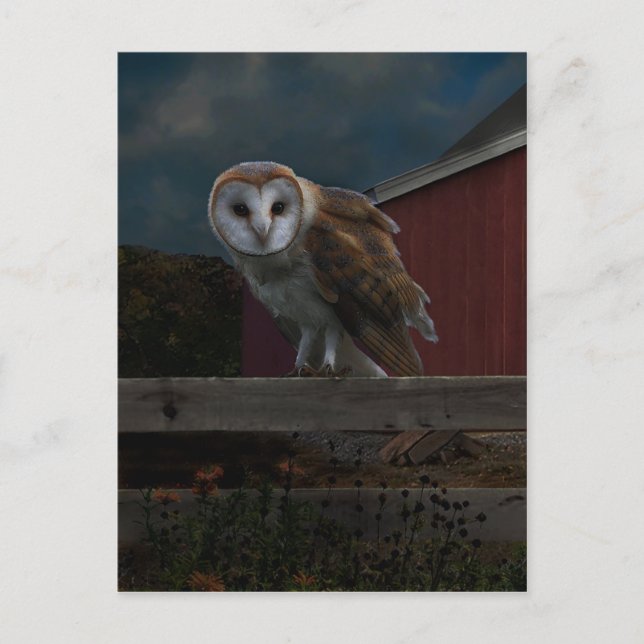Postkarte "McHoots the Watch Owl" (Vorderseite)