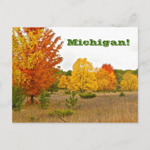 Postkarte"MICHIGAN LEBT MIT VIBRANTER FARBE" Postkarte