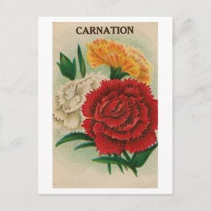 Postkarte mit altem Zinnien-Samenpaket