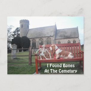 Postkarte mit Basset Hound Besuch Cemetar
