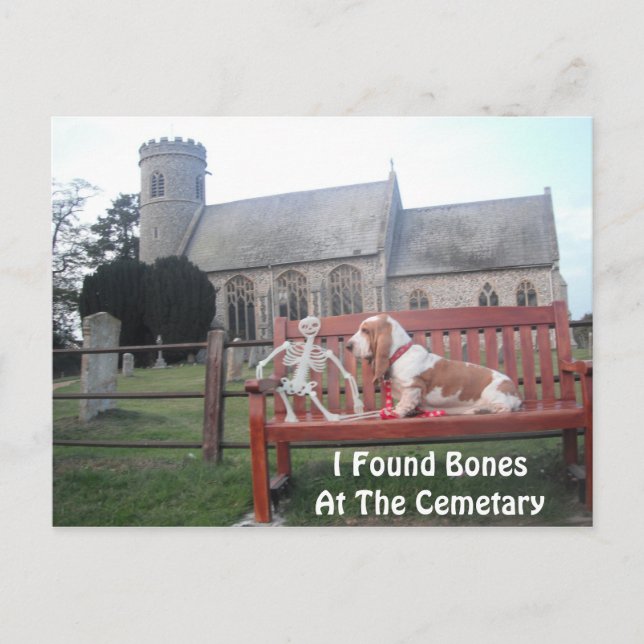Postkarte mit Basset Hound Besuch Cemetar (Vorderseite)