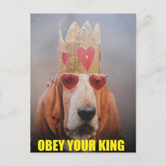 Postkarte mit Basset Hound King (Vorderseite)