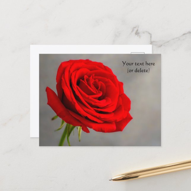 Postkarte mit einer roten Rose (Vorderseite/Rückseite Beispiel)