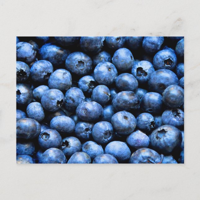 Postkarte mit Heidelbeeren (Vorderseite)