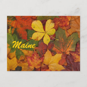 Postkarte mit Herbstblättern aus Maine