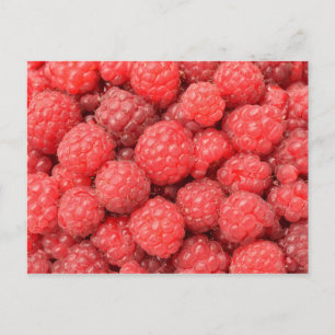 Postkarte mit Himbeeren