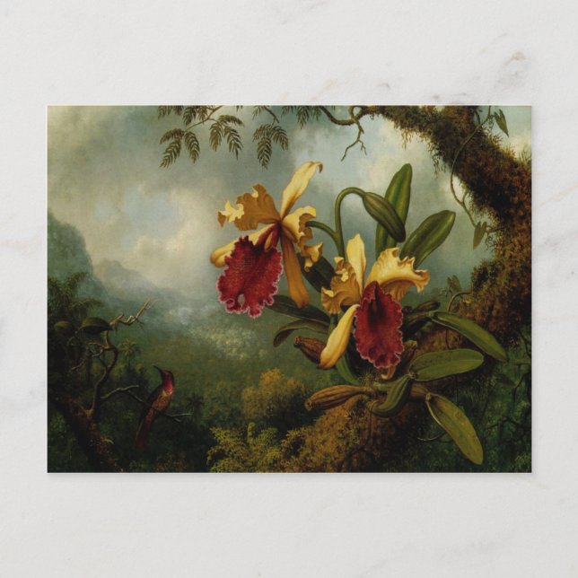 Postkarte mit Martin Johnson Heade Malerei (Vorderseite)
