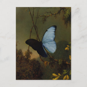 Postkarte mit Martin Johnson Heade Malerei
