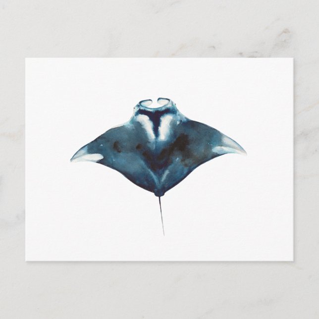 Postkarte mit Ozean-Mantarochen (Vorderseite)