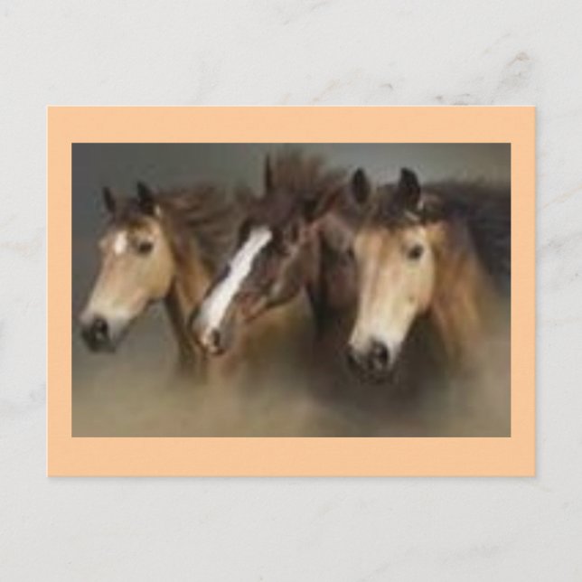 Postkarte mit Pferden (Vorderseite)