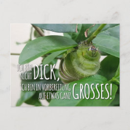 Postkarte mit Raupe & Humor 