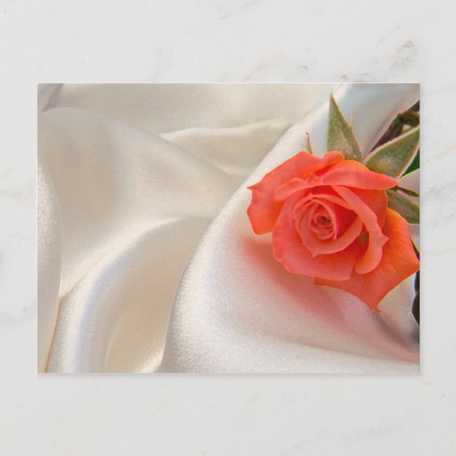 Postkarte mit rosa Rosa (Vorderseite)