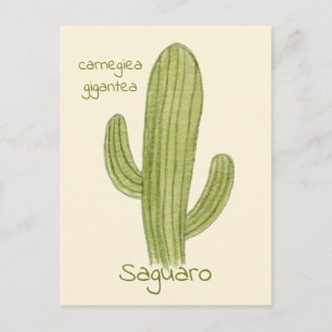 Postkarte mit Saguaro-Kaktus.