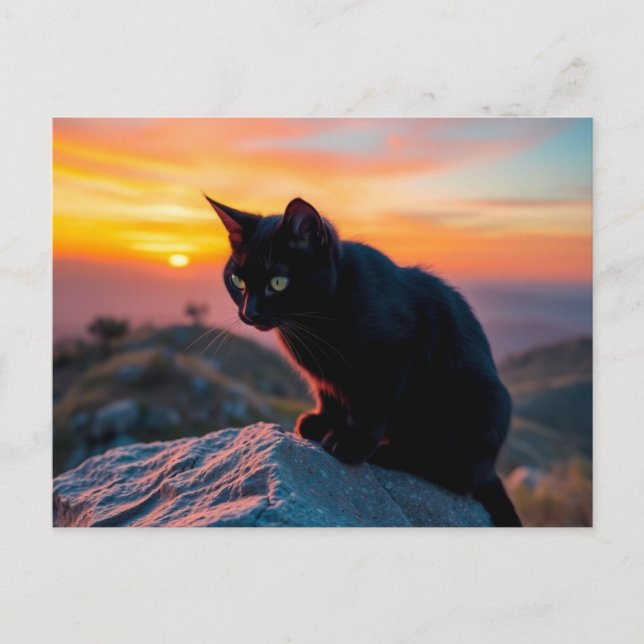 Postkarte mit schwarzer Katzensilhouette bei Sonne (Vorderseite)