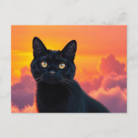 Postkarte mit schwarzer Katzensilhouette bei Sonne