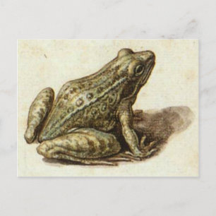 Postkarte mit süßem, altem Frosch
