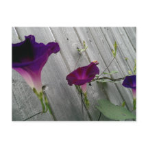 Postkarte mit violetten Blumen