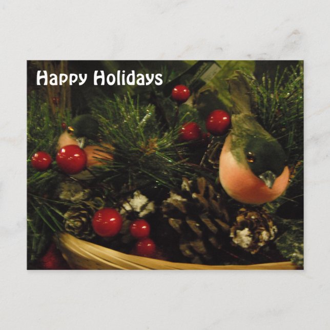 Postkarte mit Vögeln (Vorderseite)