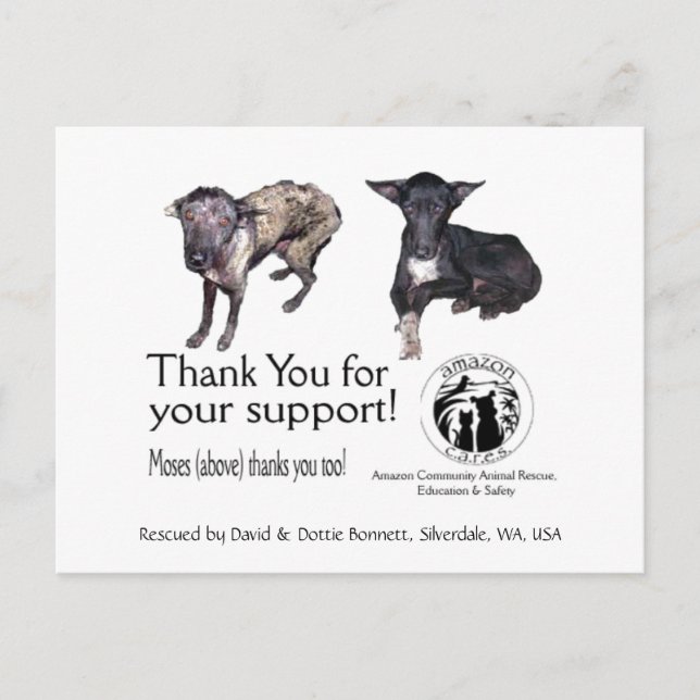 Postkarte: Moses, Before & After seiner Rettung Postkarte (Vorderseite)