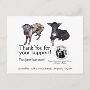 Postkarte: Moses vor und nach seiner Rettung Postkarte