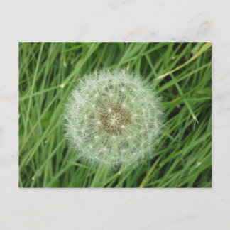 Postkarte - Naturbild