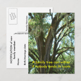 Postkarte - Neuer Familienangehöriger