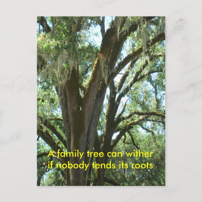 Postkarte - Neuer Familienangehöriger (Vorderseite)