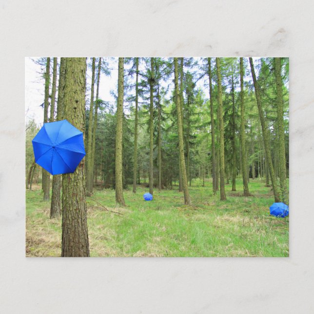 Postkarte - neulich im Wald (Vorderseite)