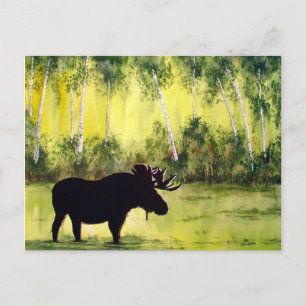 Postkarte Nördliches Tagebuch