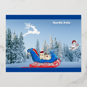 Postkarte NordPole