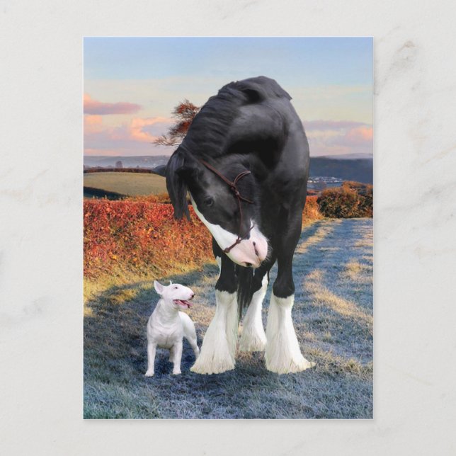 Postkarte "Ollie & Blackbird" (Vorderseite)