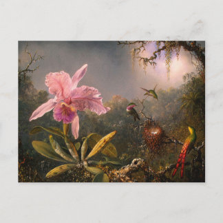 Postkarte: Orchid und Hummingbirds Postkarte