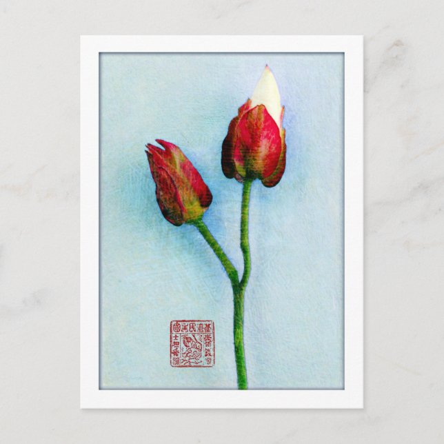 Postkarte Orientalischer Buds (Vorderseite)