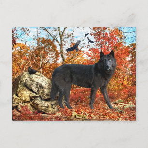 Postkarte "Orion & The Crows"