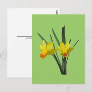 Postkarte - Osterglocke