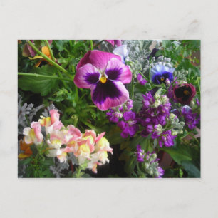 Postkarte Pansy and Friends