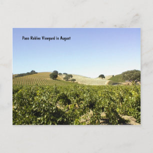 Postkarte: Paso Robles Weinberg im August Postkarte
