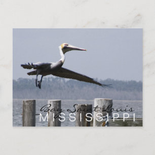 Postkarte "Pelican on Bay"