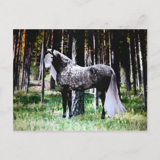 Postkarte "Pferd im Wald"