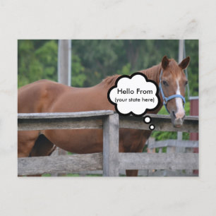 Postkarte/Pferd Postkarte