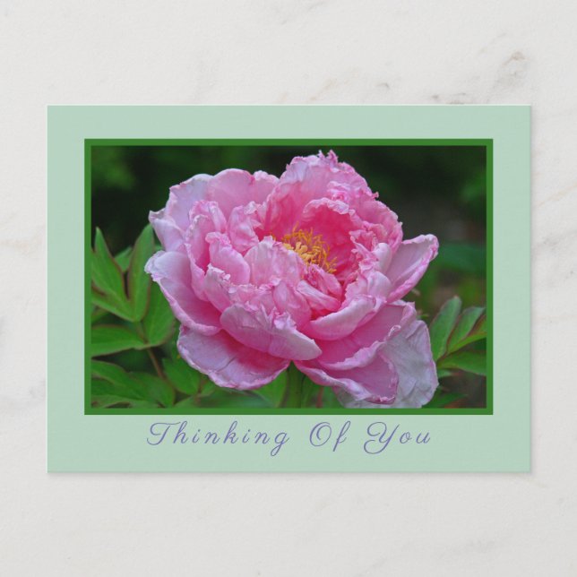 POSTKARTE, "PINK PEONY/DENKING OF YOU" POSTCARD POSTKARTE (Vorderseite)