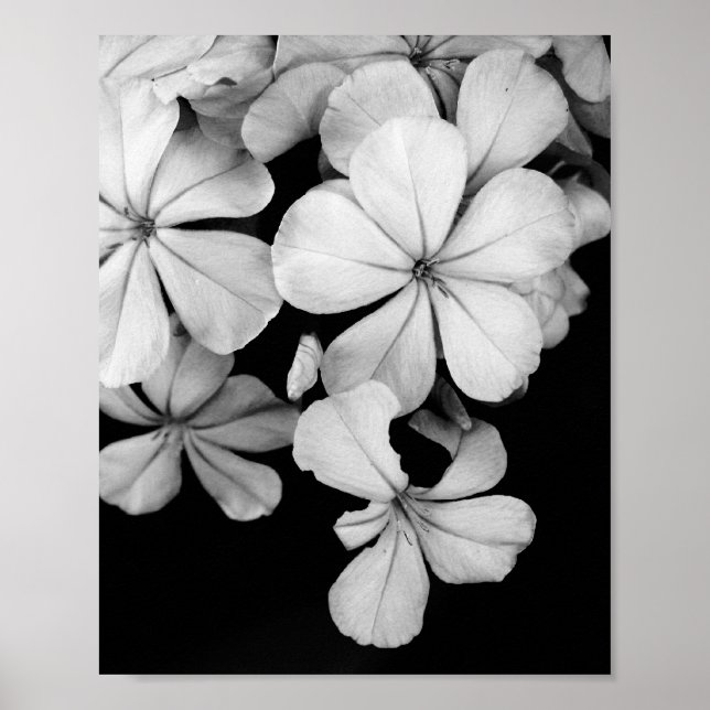 Postkarte Poster (Vorne)