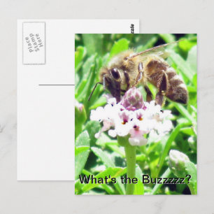 Postkarte - Profil einer Honigbiene