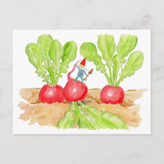 Postkarte Radish Garden Gnome (Vorderseite)