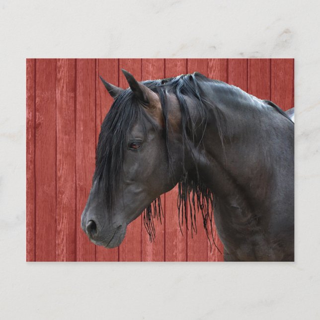 Postkarte "Raphael" (Vorderseite)